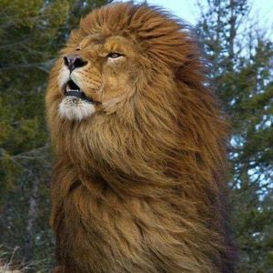 Meet your Posher, Fredy